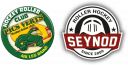 Logo Les Pics Verts - Seynod